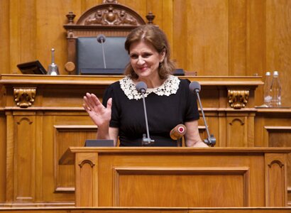 politisch_3
